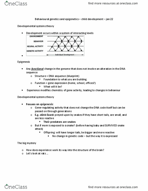 PSYCH 2AA3 Lecture Notes - Lecture 5: Cortisol, Behavioural Genetics, Methylation thumbnail