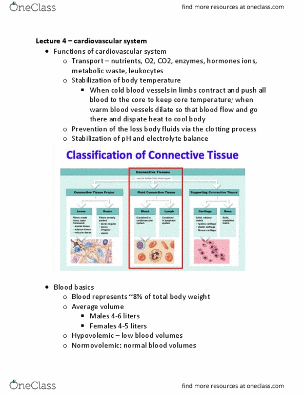 HLSC 2F95 Lecture Notes - Lecture 4: Circulatory System, Metabolic Waste, White Blood Cell thumbnail