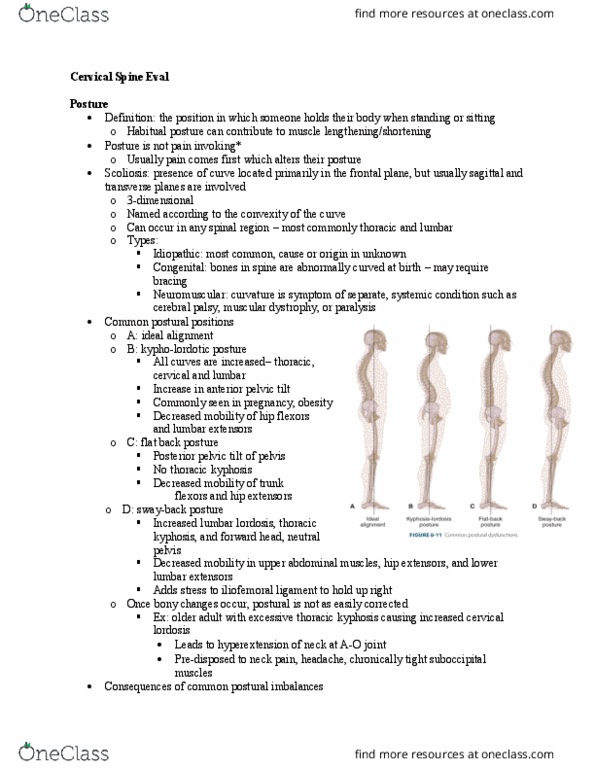 PT 528 Lecture Notes - Lecture 12: List Of Flexors Of The Human Body, Gluteal Muscles, Iliofemoral Ligament thumbnail