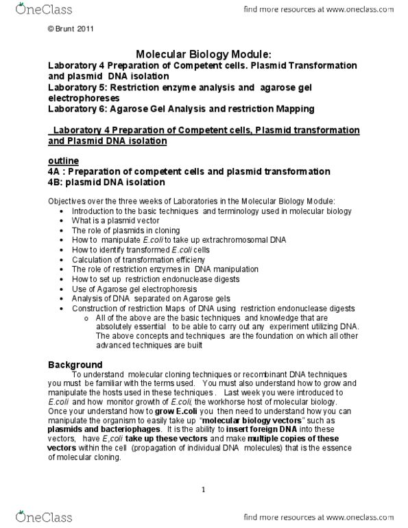 BIOB12H3 Lecture 4: Laboratory Exercise - Week 4.pdf thumbnail