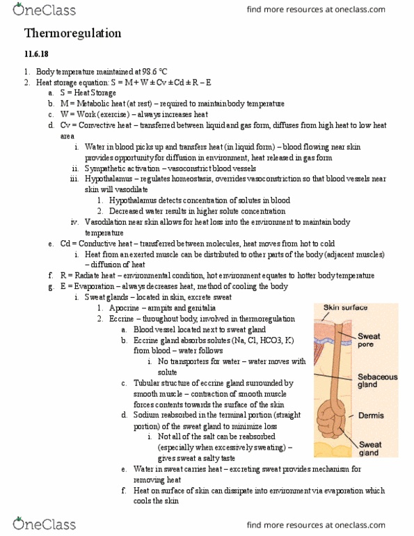 HSK 366 Lecture Notes - Lecture 11: Vasodilation, Headache, Heat Stroke thumbnail