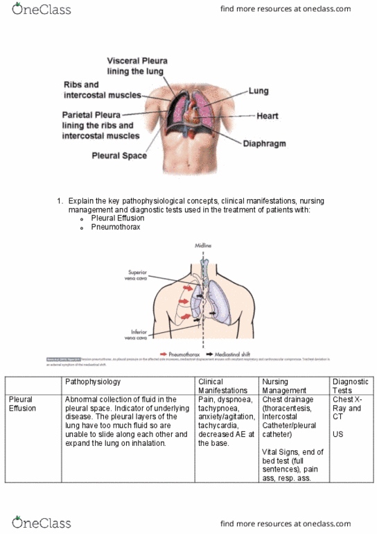 NUR5002 Lecture Notes - Lecture 2: Vagus Nerve, Effusion, Nursing Assessment thumbnail