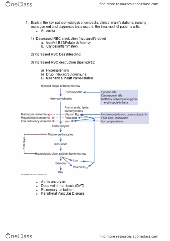 NUR5002 Lecture Notes - Lecture 10: Erythropoietin, Anemia, Gangrene thumbnail