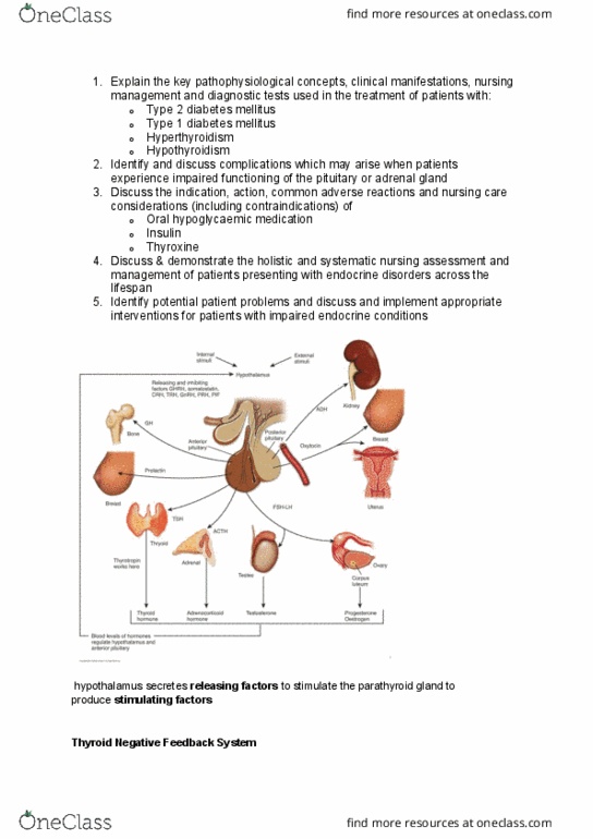 NUR5002 Lecture Notes - Lecture 6: Kussmaul Breathing, Aldosterone, Adrenal Gland thumbnail