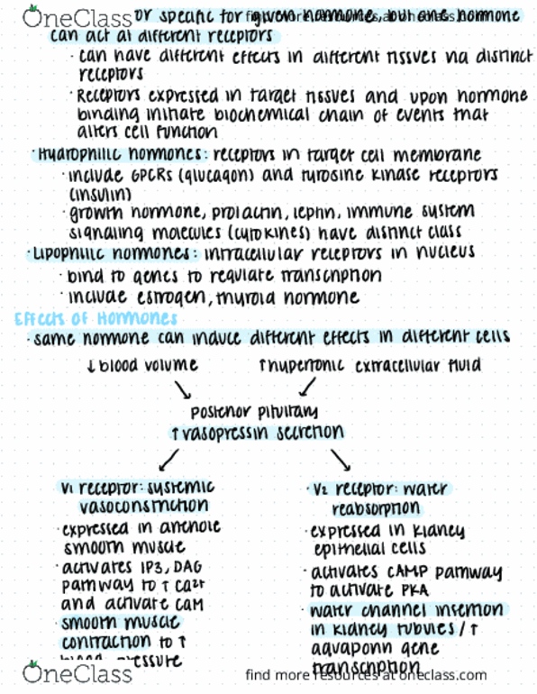 NPB 110 Lecture Notes - Lecture 5: Anethole, Vasopressin Receptor 2, Nephron thumbnail