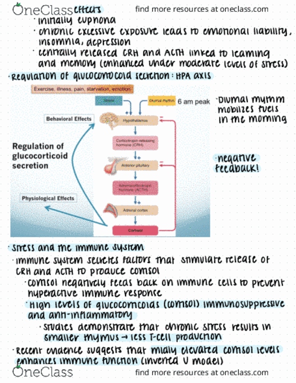 document preview image