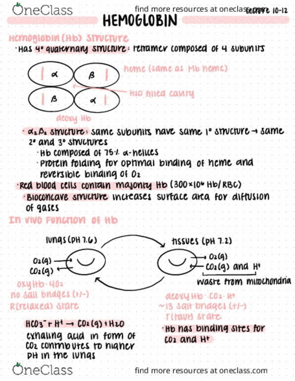 BIS 102 Lecture Notes - Lecture 11: Histidine, Hyperbola thumbnail