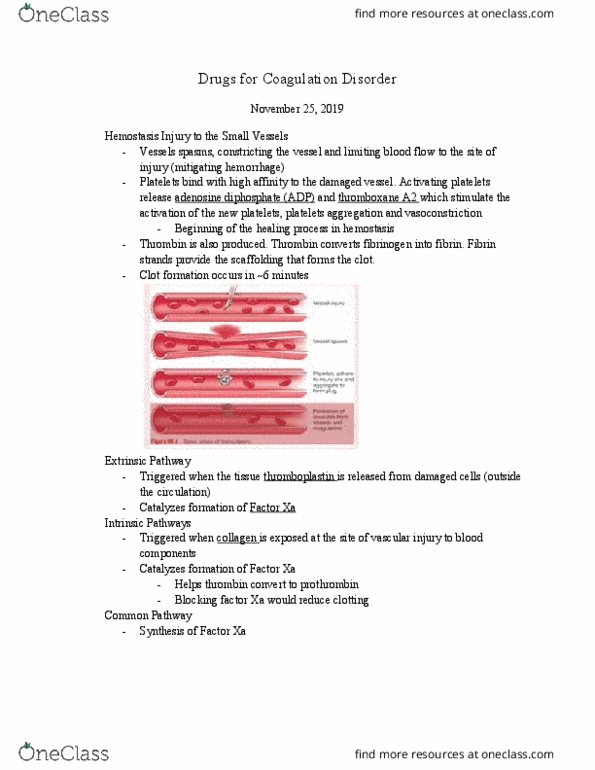 MUSIC 1A03 Lecture Notes - Lecture 6: Factor X, Thromboxane A2, Hemostasis thumbnail