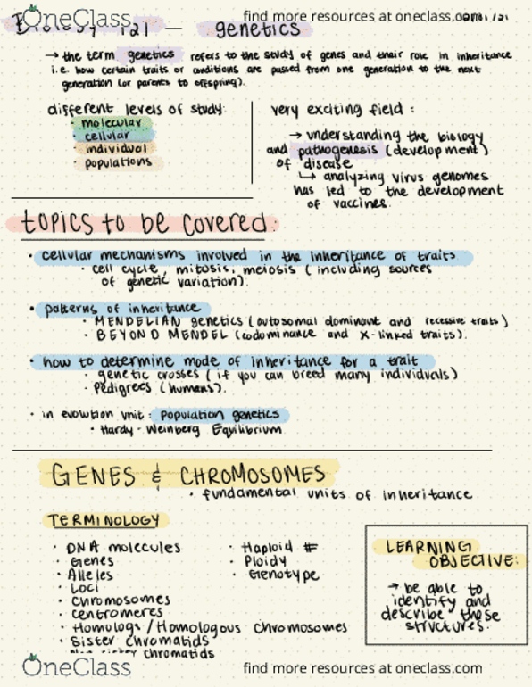 BIOL 121 Lecture Notes - Synapsis, Piastre, Dna Replication thumbnail