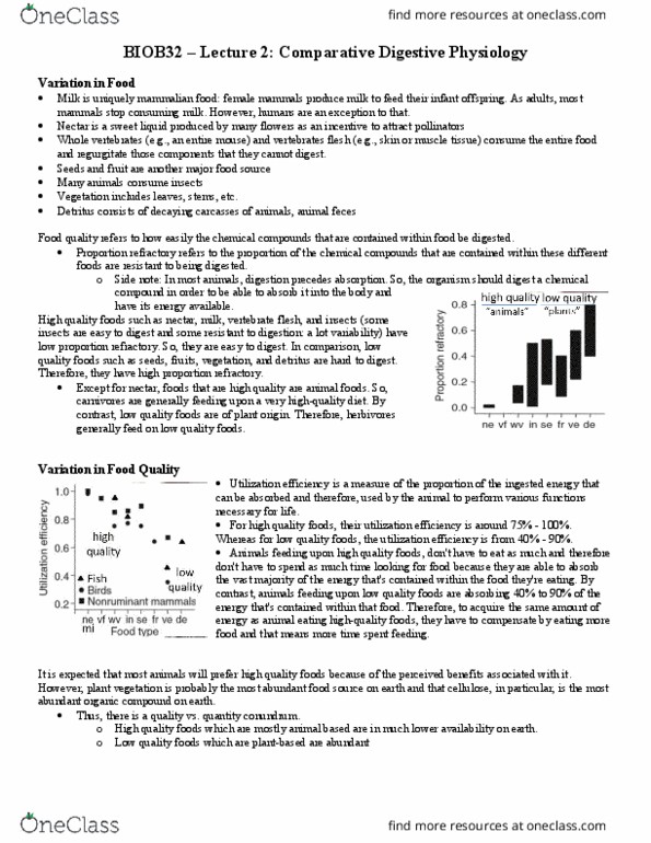 BIOB32H3 Lecture Notes - Lecture 2: B Vitamins, Archaea, Thymidine thumbnail