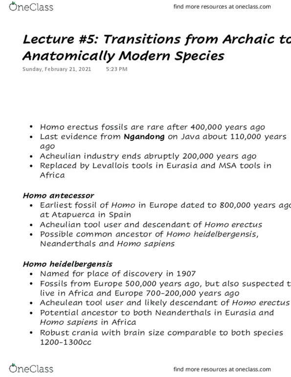ANT201H5 Lecture Notes - Lecture 5: Homo Heidelbergensis, Homo Antecessor, Homo Erectus thumbnail