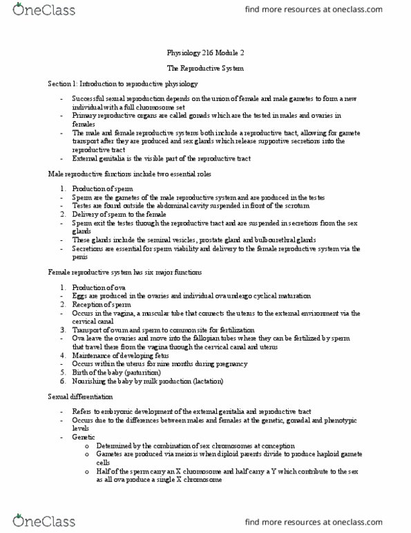 CHEM 282 Lecture Notes - Lecture 2: Collecting Duct System, Abdominal Cavity, Dartos thumbnail