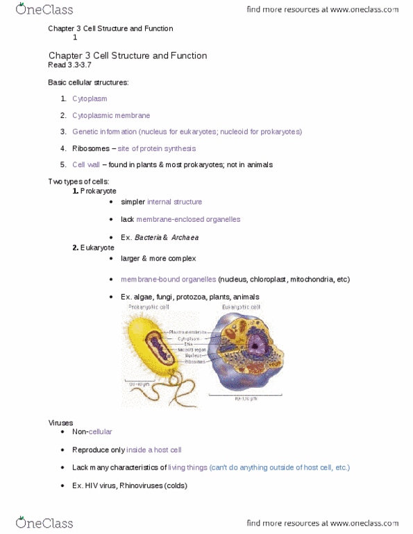 BIOL 2051 Chapter Notes - Chapter 3: Lipid Bilayer, Cell Envelope, Periplasm thumbnail