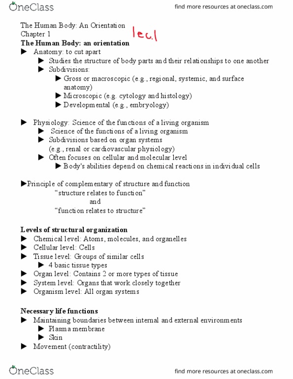 BIO 167 Lecture Notes - Lecture 1: Nasal Cavity, Catabolism, Skeleton thumbnail