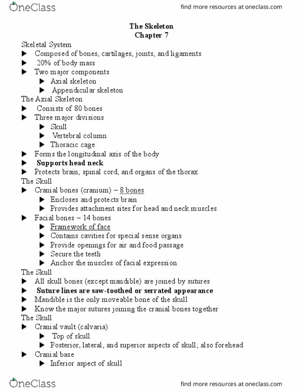 BIO 167 Lecture Notes - Lecture 7: Collagen, Hypoglossal Canal, Scoliosis thumbnail