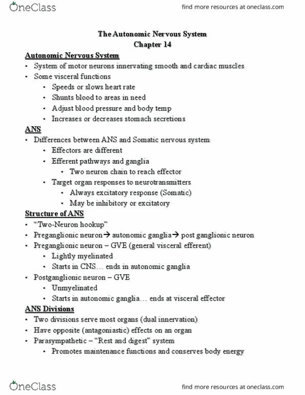 BIO 167 Lecture Notes - Lecture 14: Enzyme, Autonomic Nervous System, Facial Nerve thumbnail