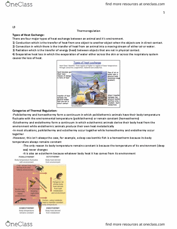 BIOA02H3 Lecture Notes - Lecture 9: Extracellular Fluid, Torpor, Venous Blood thumbnail