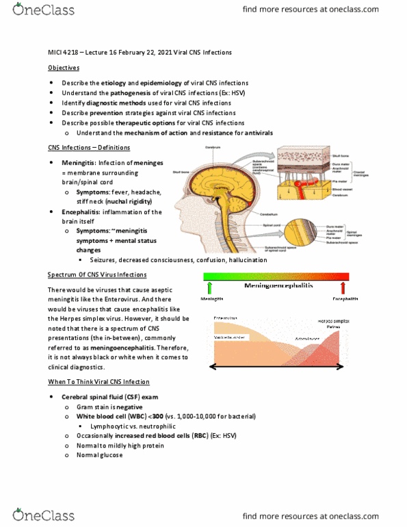 MICI 4218 Lecture Notes - Lecture 16: Cerebrospinal Fluid, Viral Meningitis, Aseptic Meningitis thumbnail