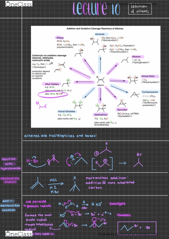 CHEM 2323 Lecture Notes - Lecture 10: Markovnikov'S Rule, Syn And Anti Addition, Ozonide thumbnail