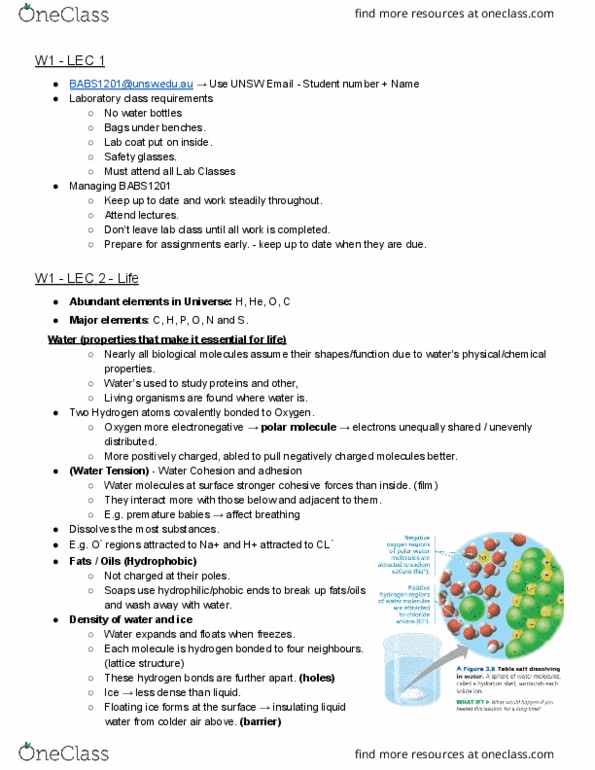 BABS1201 Lecture Notes - Lecture 1: Hydrogen Atom, University Of New South Wales, Chemical Polarity thumbnail