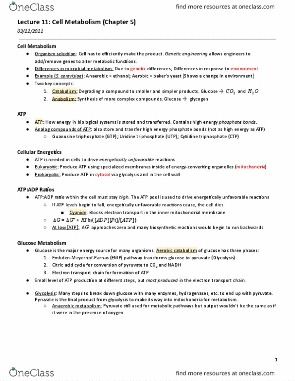 document preview image