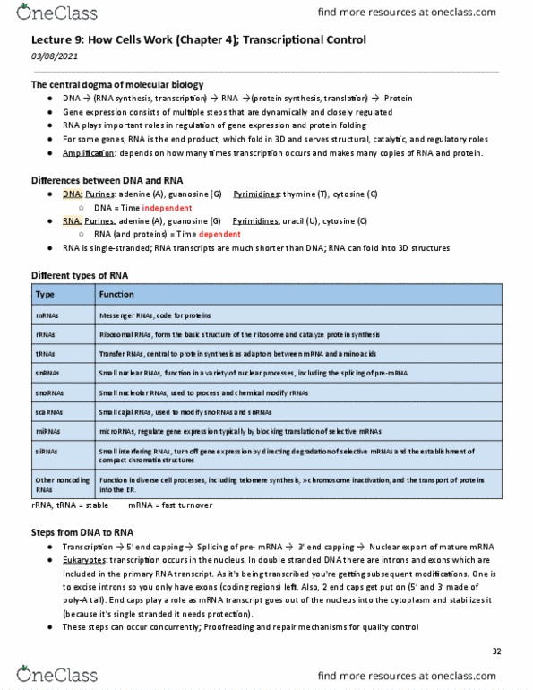 BME 463 Lecture Notes - Lecture 9: Guanosine, Central Dogma Of Molecular Biology, Small Interfering Rna thumbnail