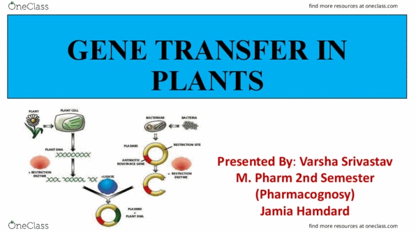 B PHARMACY Lecture Notes - Lecture 12: Jamia Hamdard, Pharmacognosy, Chloramphenicol thumbnail
