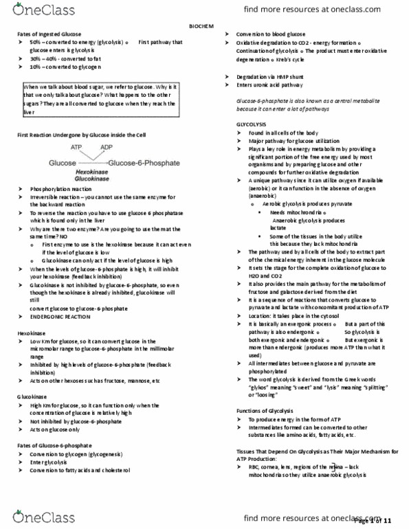 MED Lecture Notes - Lecture 1: Anaerobic Glycolysis, Carbohydrate Metabolism, Glucokinase thumbnail