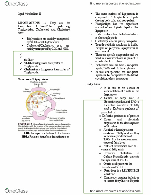 MED Lecture Notes - Lecture 1: Cholesteryl Ester, Reverse Cholesterol Transport, Amphiphile thumbnail