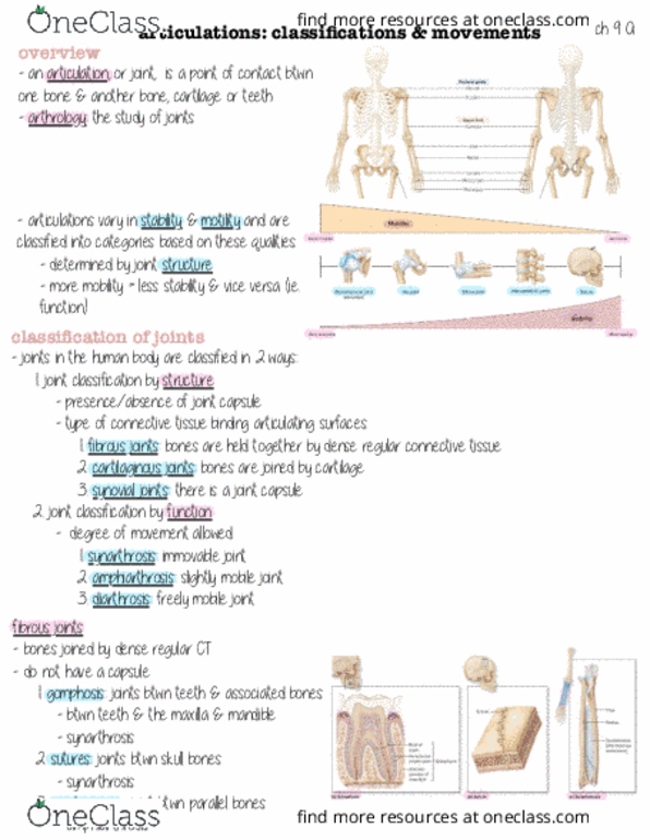 HHP 1110 Lecture : chapter 9 A thumbnail