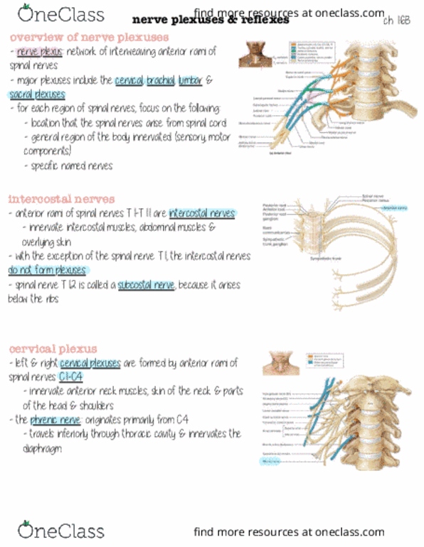 document preview image