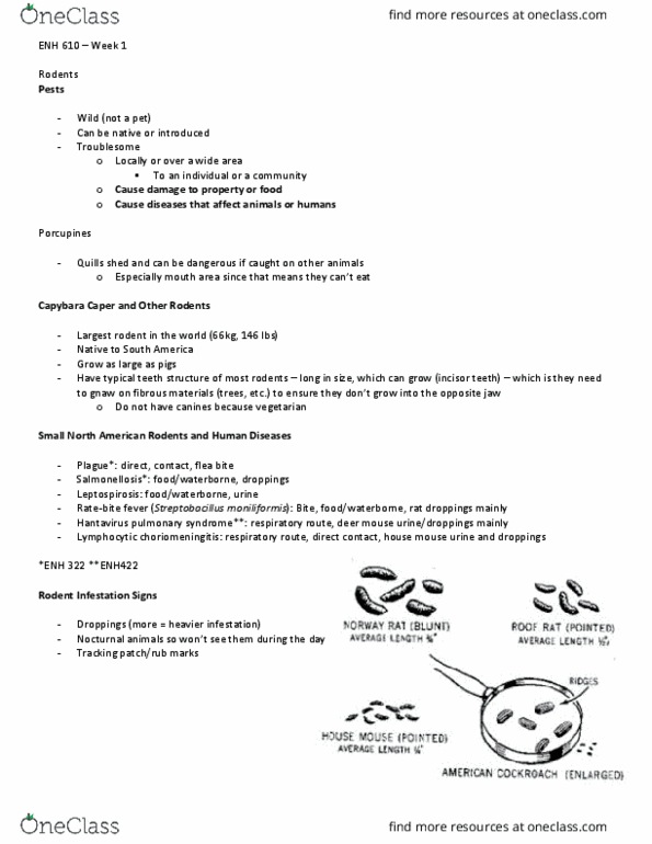 ENH 610 Lecture Notes - Lecture 1: Hantavirus Pulmonary Syndrome, Lymphocytic Choriomeningitis, Chevrotain thumbnail