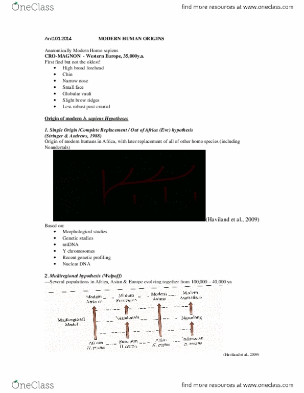 ANT100Y1 Lecture Notes - Lecture 8: Liang Bua, Archaic Humans, Homo Floresiensis thumbnail