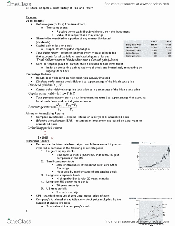 FIN 501 Chapter Notes - Chapter 1: Capital Gain thumbnail
