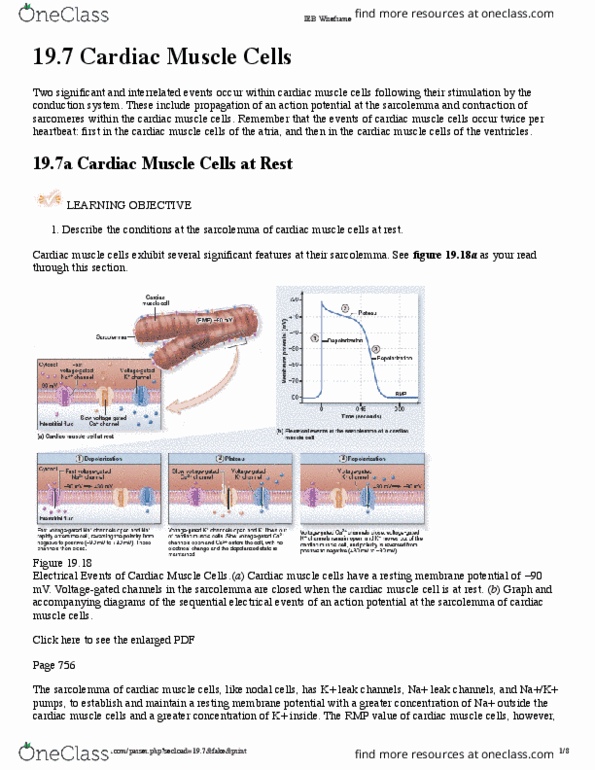 NEURO 661 Lecture Notes - Lecture 7: Reuptake, Tachycardia, Sarcomere thumbnail