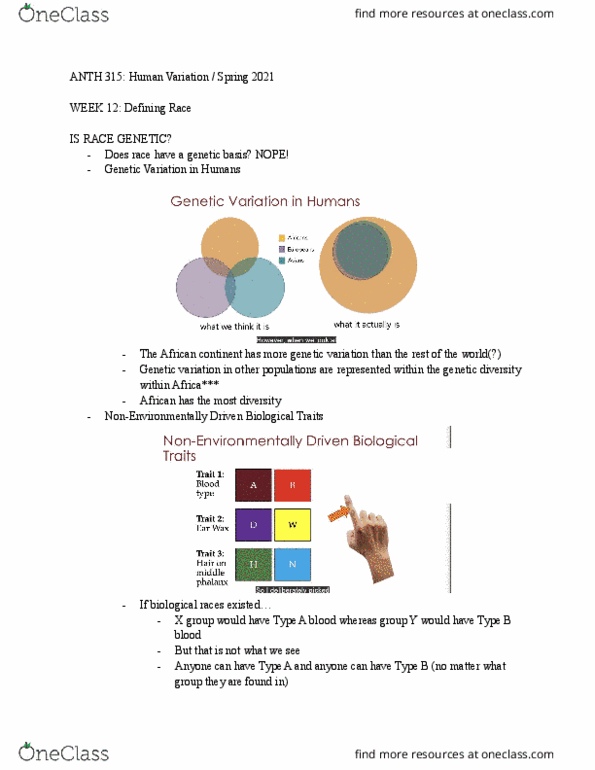 ANTH 315 Lecture Notes - Lecture 3: Genetic Variation, James Vi And I, Franz Boas thumbnail