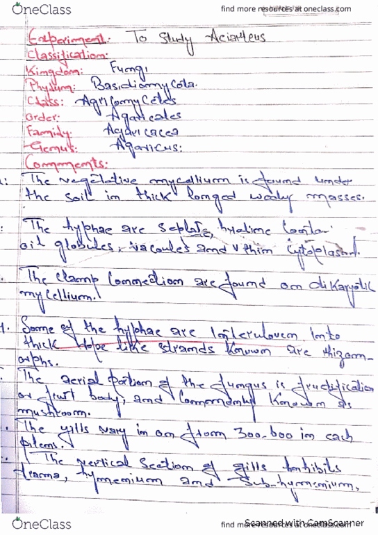 19047 help homework html note school 04 picture