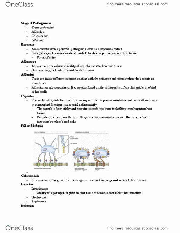 BIO 3153 Lecture Notes - Lecture 7: Bacterial Capsule, Bacteremia, Sepsis thumbnail