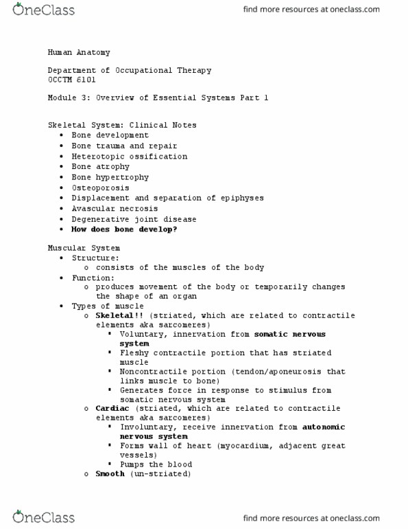 OCCTM 6101 Lecture Notes - Lecture 9: Heterotopic Ossification, Avascular Necrosis, Somatic Nervous System thumbnail
