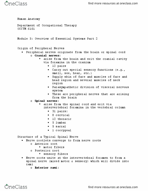 OCCTM 6101 Lecture Notes - Lecture 12: Intervertebral Foramina, Cranial Nerves, Spinal Nerve thumbnail
