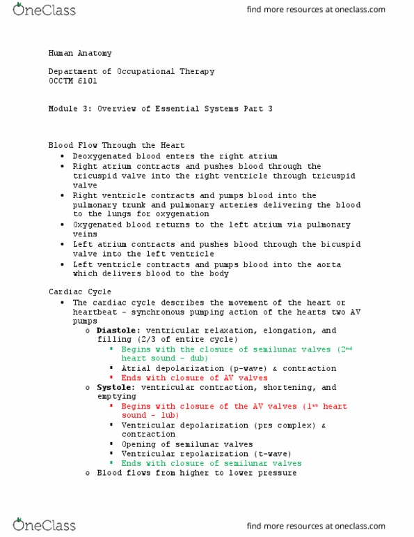 OCCTM 6101 Lecture Notes - Lecture 19: Tricuspid Valve, Mitral Valve, Heart Valve thumbnail