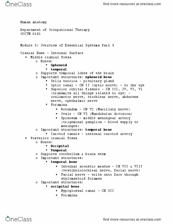 OCCTM 6101 Lecture Notes - Lecture 23: Middle Cranial Fossa, Posterior Cranial Fossa, Middle Meningeal Artery thumbnail
