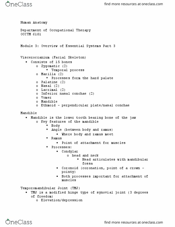 OCCTM 6101 Lecture Notes - Lecture 24: Synovial Joint, Temporal Bone, Vomer thumbnail
