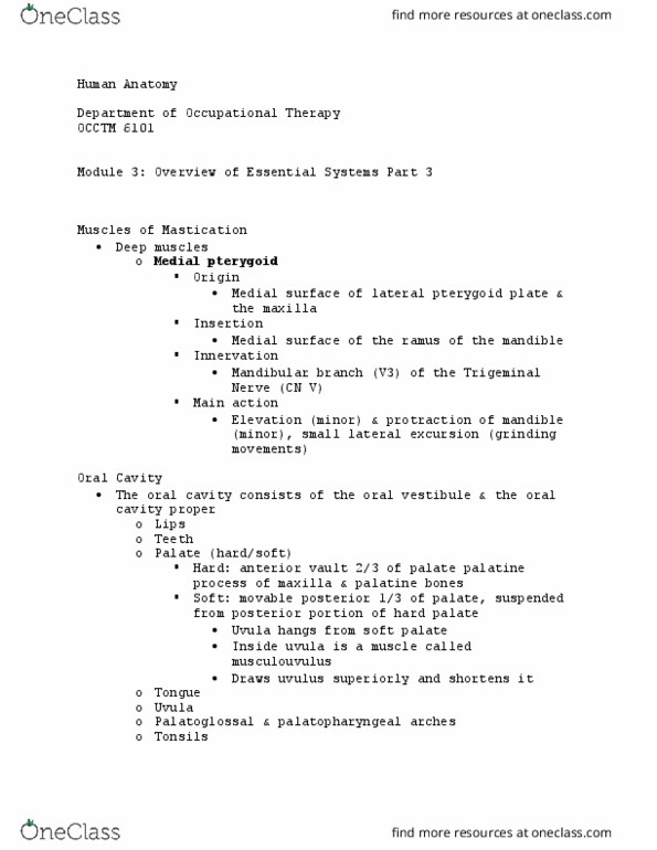 OCCTM 6101 Lecture Notes - Lecture 32: Pterygoid Processes Of The Sphenoid, Soft Palate, Trigeminal Nerve thumbnail