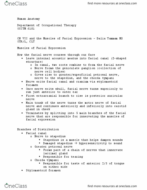 OCCTM 6101 Lecture Notes - Lecture 36: Facial Canal, Lacrimal Gland, Stapedius Muscle thumbnail