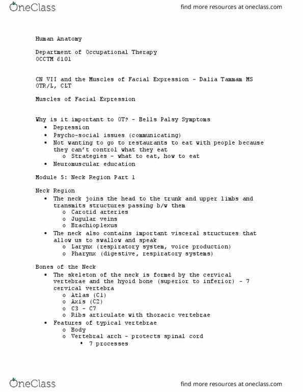 OCCTM 6101 Lecture Notes - Lecture 42: Thoracic Vertebrae, Hyoid Bone, Vertebral Artery thumbnail