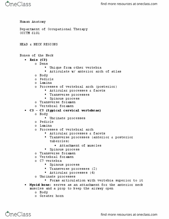 OCCTM 6101 Lecture Notes - Lecture 43: Uncinate Processes Of Ribs, Cervical Vertebrae, Hyoid Bone thumbnail