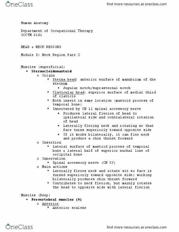 OCCTM 6101 Lecture Notes - Lecture 45: Accessory Nerve, Mastoid Part Of The Temporal Bone, Occipital Bone thumbnail