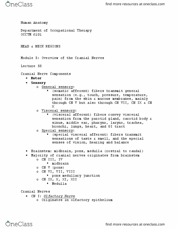 OCCTM 6101 Lecture Notes - Lecture 58: Special Visceral Afferent Fibers, Glossopharyngeal Nerve, Cranial Nerves thumbnail