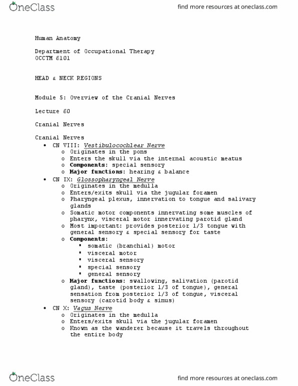OCCTM 6101 Lecture Notes - Lecture 60: Internal Auditory Meatus, Jugular Foramen, Parotid Gland thumbnail